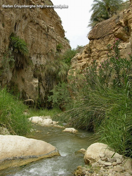 Wadi ibn Hamad Wadi ibn Hamad, gelegen in de buurt van Kerak, is een wondermooie canyon met veel planten en palmbomen op de wanden. Stefan Cruysberghs